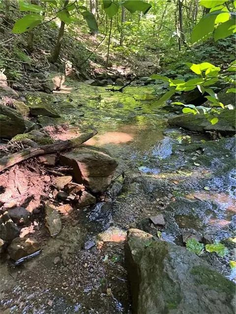 tbd Nc 6065, Jasper, AR 72641 photo 3