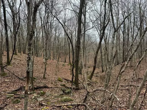 tbd Nc 6065, Jasper, AR 72641 photo 11