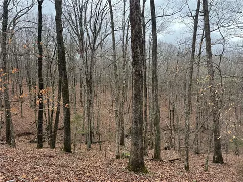 tbd Nc 6065, Jasper, AR 72641 photo 13