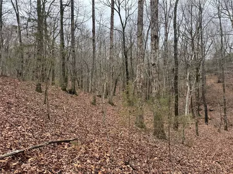 tbd Nc 6065, Jasper, AR 72641 photo 16