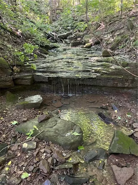 tbd Nc 6065, Jasper, AR 72641 photo 5