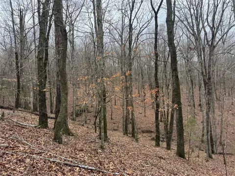 tbd Nc 6065, Jasper, AR 72641 photo 14