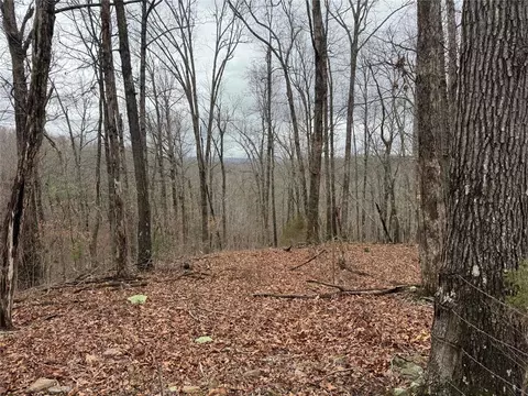 tbd Nc 6065, Jasper, AR 72641 photo 12