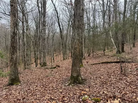 tbd Nc 6065, Jasper, AR 72641 photo 19