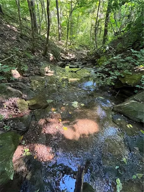 tbd Nc 6065, Jasper, AR 72641 photo 4