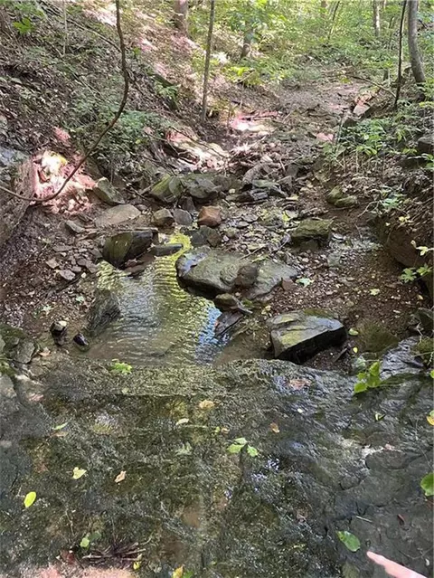 tbd Nc 6065, Jasper, AR 72641 photo 6