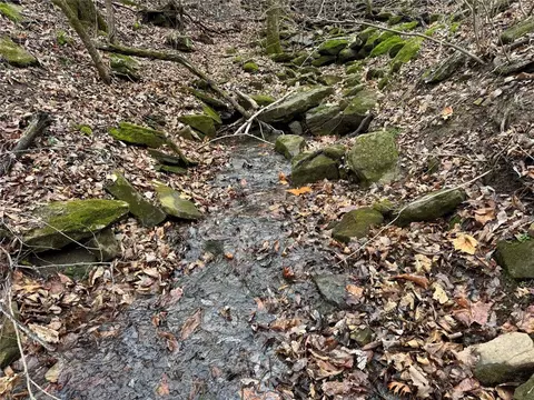 tbd Nc 6065, Jasper, AR 72641 photo 7