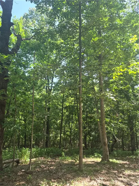 tbd Rivendell Ln Bentonville Arkansas 72712, Bentonville, AR 72712