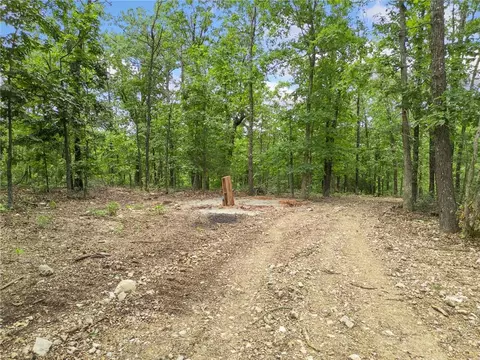 tbd Morgan Cave Rd, Harrison, AR 72601 photo 10