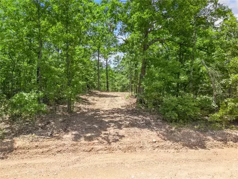 tbd Morgan Cave Rd, Harrison, AR 72601 photo 2