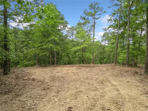 tbd Morgan Cave Rd, Harrison, AR 72601 photo 5
