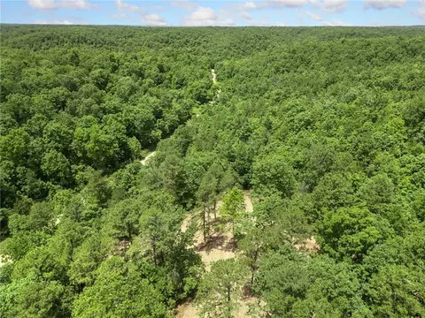 tbd Morgan Cave Rd, Harrison, AR 72601 photo 20
