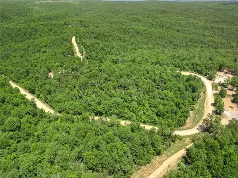 tbd Morgan Cave Rd, Harrison, AR 72601 photo 23