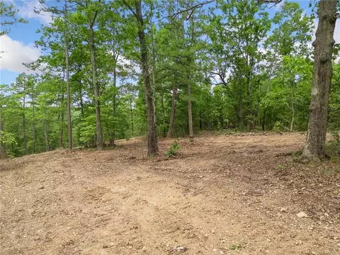 tbd Morgan Cave Rd, Harrison, AR 72601 photo 12