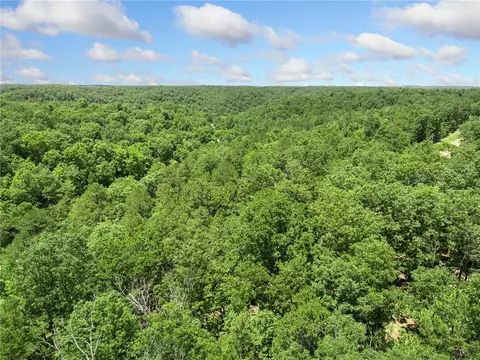 tbd Morgan Cave Rd, Harrison, AR 72601 photo 30