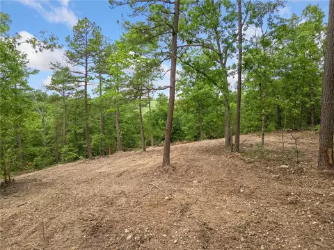 tbd Morgan Cave Rd, Harrison, AR 72601 photo 13