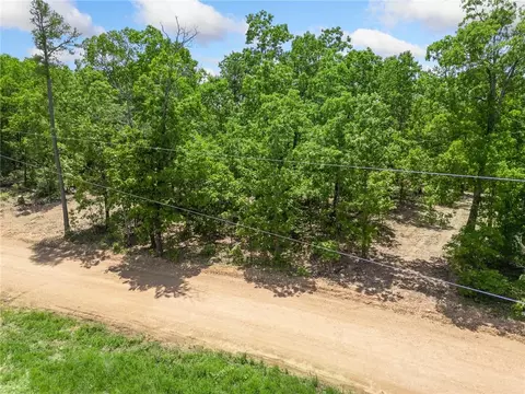 tbd Morgan Cave Rd, Harrison, AR 72601 photo 6