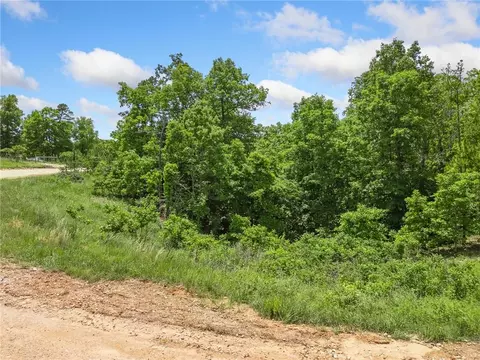 tbd Morgan Cave Rd, Harrison, AR 72601 photo 17