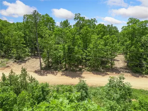 tbd Morgan Cave Rd, Harrison, AR 72601 photo 19