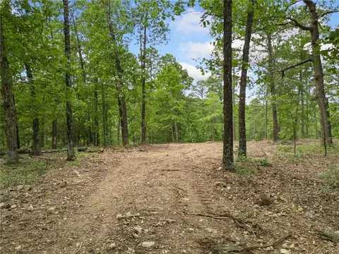 tbd Morgan Cave Rd, Harrison, AR 72601 photo 3