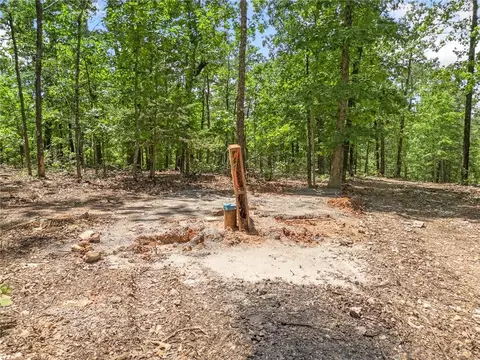 tbd Morgan Cave Rd, Harrison, AR 72601 photo 4
