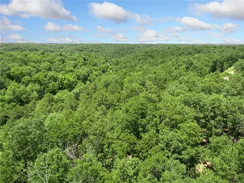 tbd Morgan Cave Rd, Harrison, AR 72601 photo 30