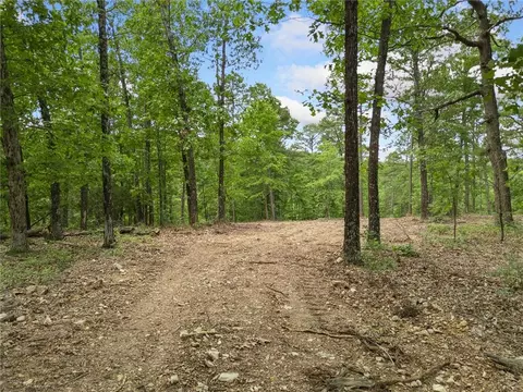 tbd Morgan Cave Rd, Harrison, AR 72601 photo 3