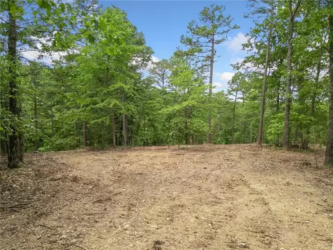 tbd Morgan Cave Rd, Harrison, AR 72601 photo 5