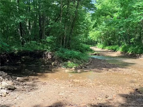 000 Terrapin Rd, Harrison, AR 72601 photo 6