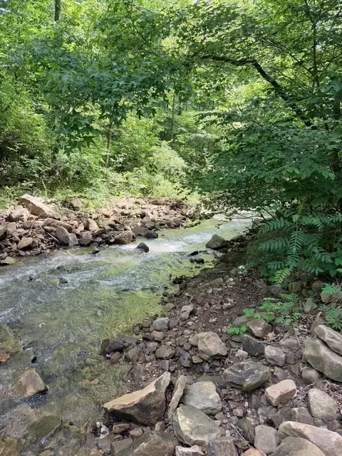 000 Terrapin Rd, Harrison, AR 72601 photo 2