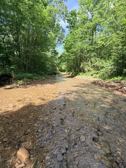 000 Terrapin Rd, Harrison, AR 72601 photo 3