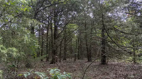 tbd Malico Mountain Rd, West Fork, AR 72774 photo 12