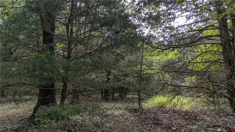 tbd Malico Mountain Rd, West Fork, AR 72774 photo 11