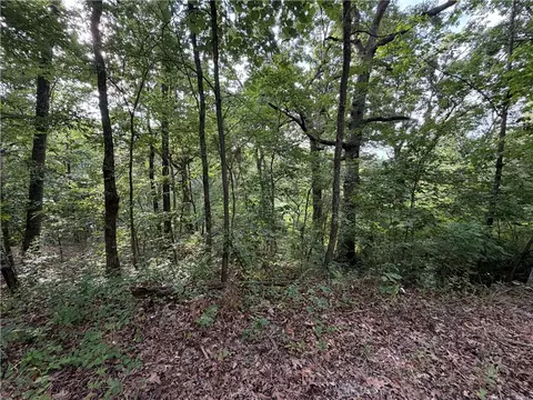 Circle Drive, Huntsville, AR 72740
