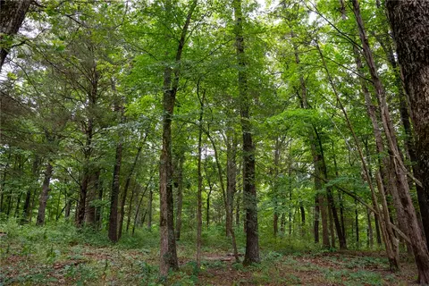 tbd Meadows Ct, Harrison, AR 72601 photo 21