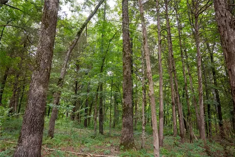 tbd Meadows Ct, Harrison, AR 72601 photo 16