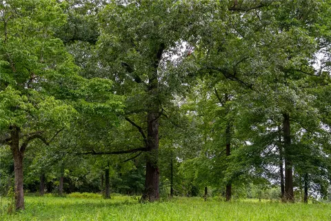 tbd Meadows Ct, Harrison, AR 72601 photo 14