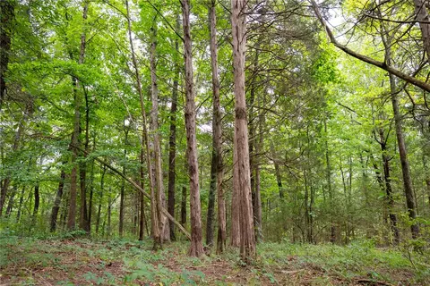 tbd Meadows Ct, Harrison, AR 72601 photo 20