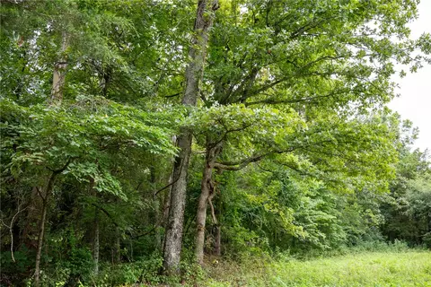 tbd Meadows Ct, Harrison, AR 72601 photo 23