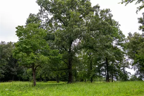 tbd Meadows Ct, Harrison, AR 72601 photo 15