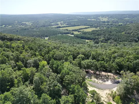 Undisclosed, Dover, AR 72837 photo 10