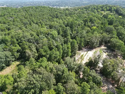 Undisclosed, Dover, AR 72837 photo 9