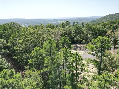 Undisclosed, Dover, AR 72837 photo 21