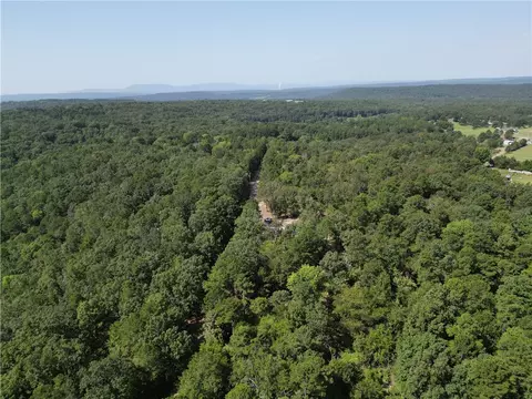 Undisclosed, Dover, AR 72837 photo 13