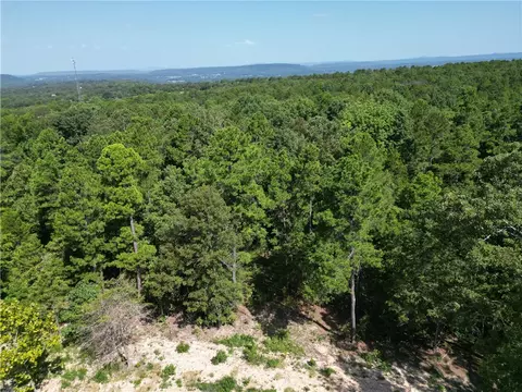 Undisclosed, Dover, AR 72837 photo 20
