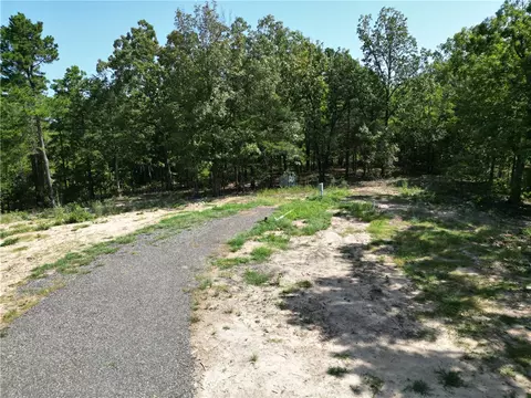 Undisclosed, Dover, AR 72837 photo 4