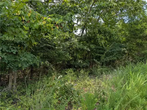 000 Twin Fork Dr, Harrison, AR 72601 photo 2