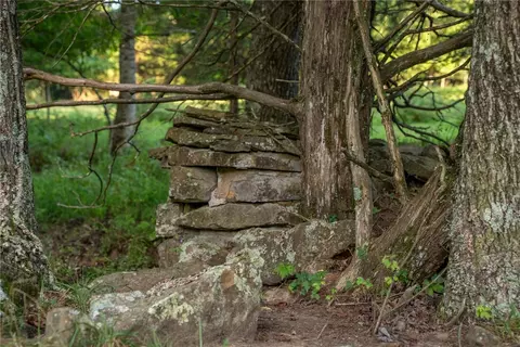 Nc 1650, Harrison, AR 72601 photo 10