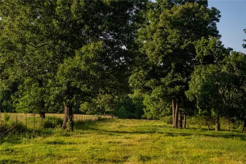 Nc 1650, Harrison, AR 72601 photo 4