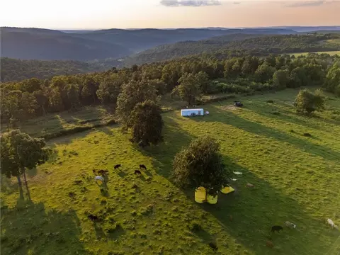Nc 1650, Harrison, AR 72601 photo 21